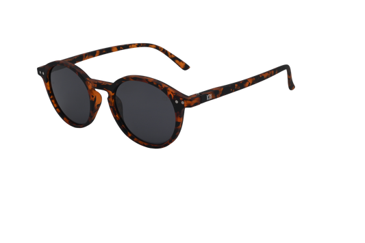 Maihue Tortoise